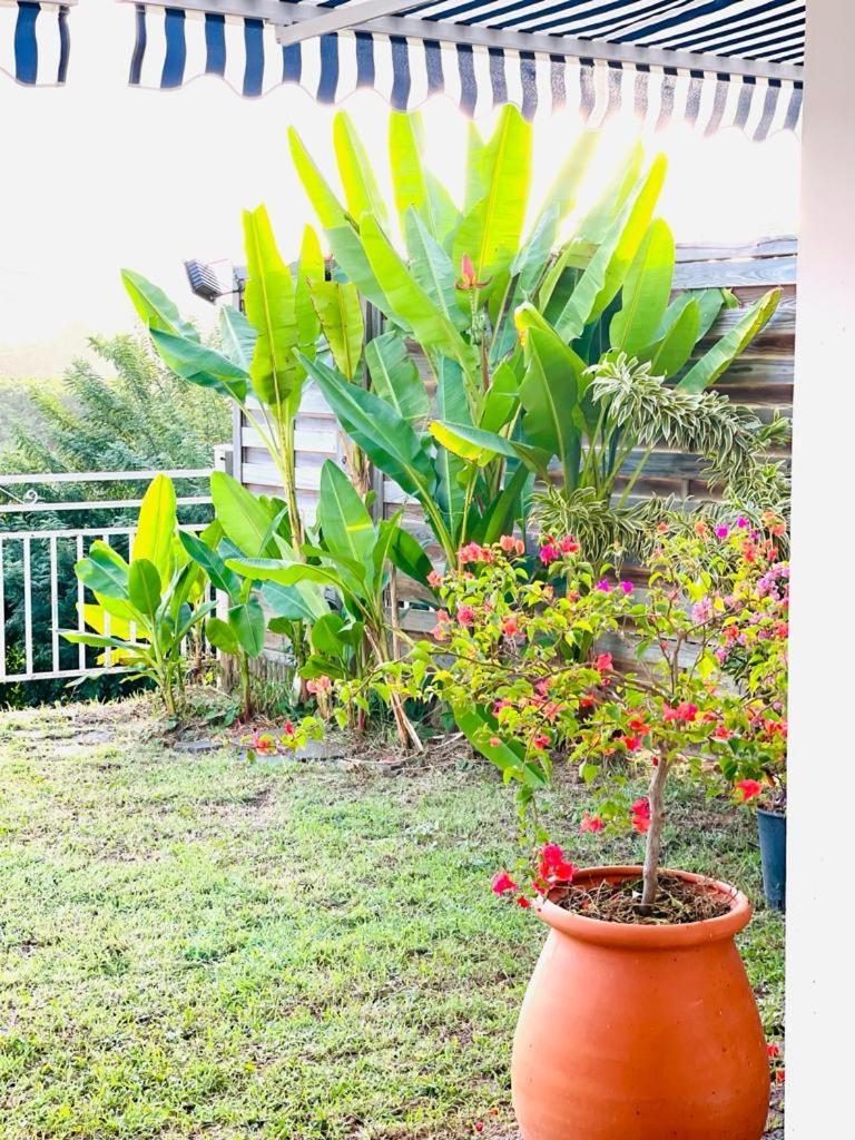 Villa Avec Vue T2 A T5 Duo De La Baie ル・ロベール エクステリア 写真